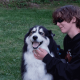 A young woman in a black hoodie kneel downs to pet her dog. The dog is a black and white dog with lots of fur. They are outside in the grass with a tree in the background.