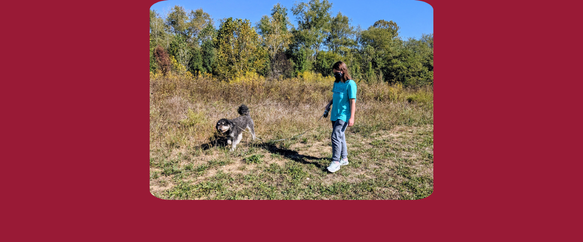 A photo of a woman walking in a field holding the leash of a gray and white fluffy dog.