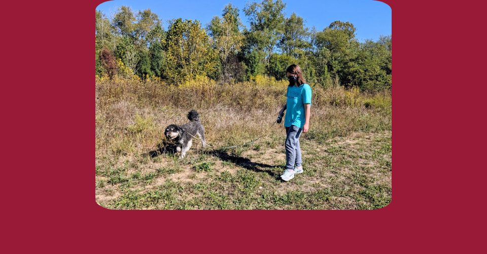 A photo of a woman walking in a field holding the leash of a gray and white fluffy dog.