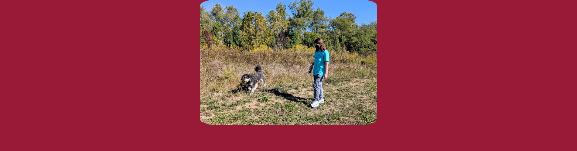 A photo of a woman walking in a field holding the leash of a gray and white fluffy dog.