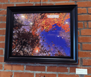 A framed photo of a bright blue sky with orange leaves of a tree.